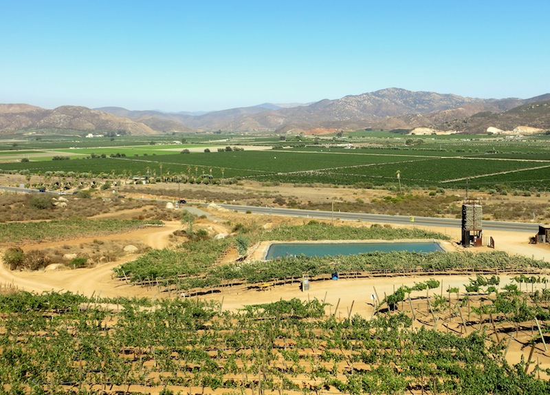 Encuentro Guadalupe offers some of the best views of the valley, Photo credit: Lola's Cocina