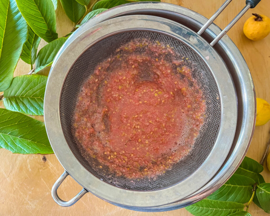 Agua de Guayaba Guava Nectar Guava Agua Fresca