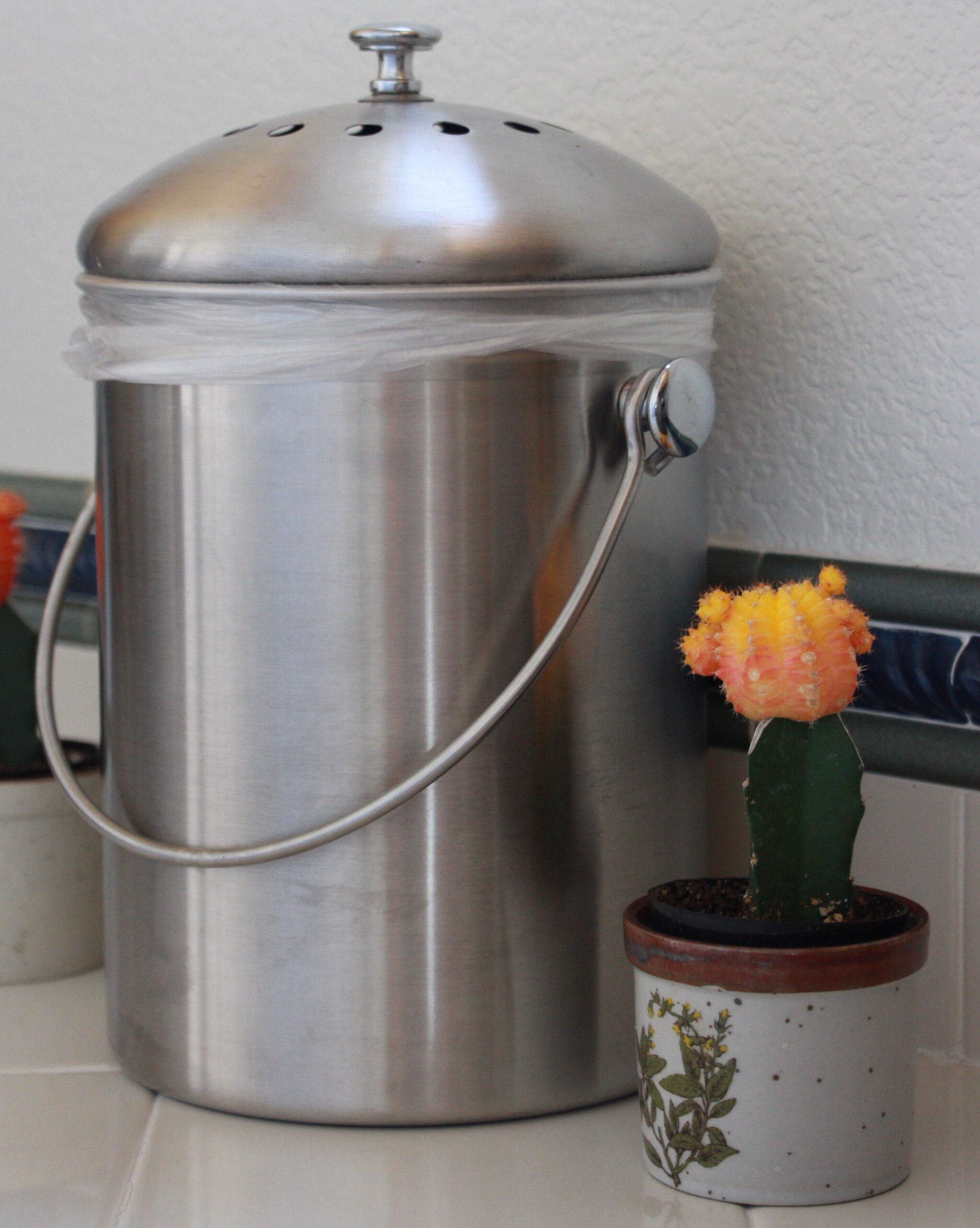 Compost pail by Lola's Cocina