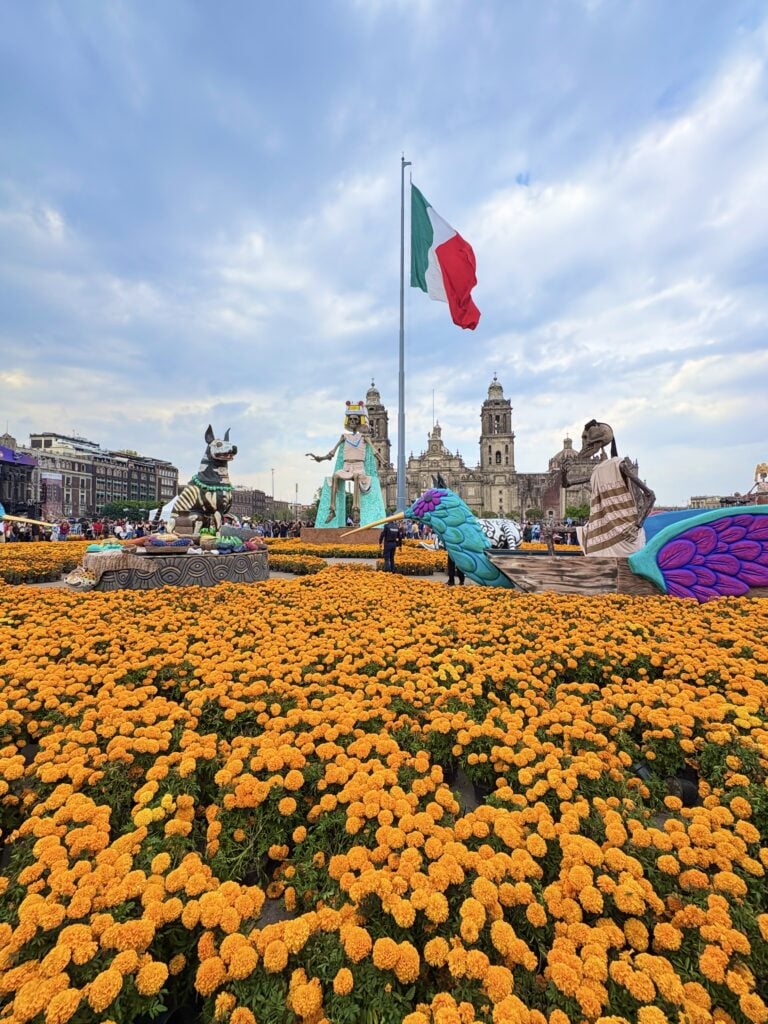 Altar de muertos
Altar ideas
Altares de muertos creativos
Altar en casa
Altar inspiration
Day of the Dead
Day of the Dead altar
Day of the Dead decorations
Day of the dead decor
Dia de los muertos
Dia de muertos
Dia de muertos mexico
Dia de muertos altar ideas
Dia de los muertos ofrenda
Dia de muertos decoracion
Dia de los muertos altar