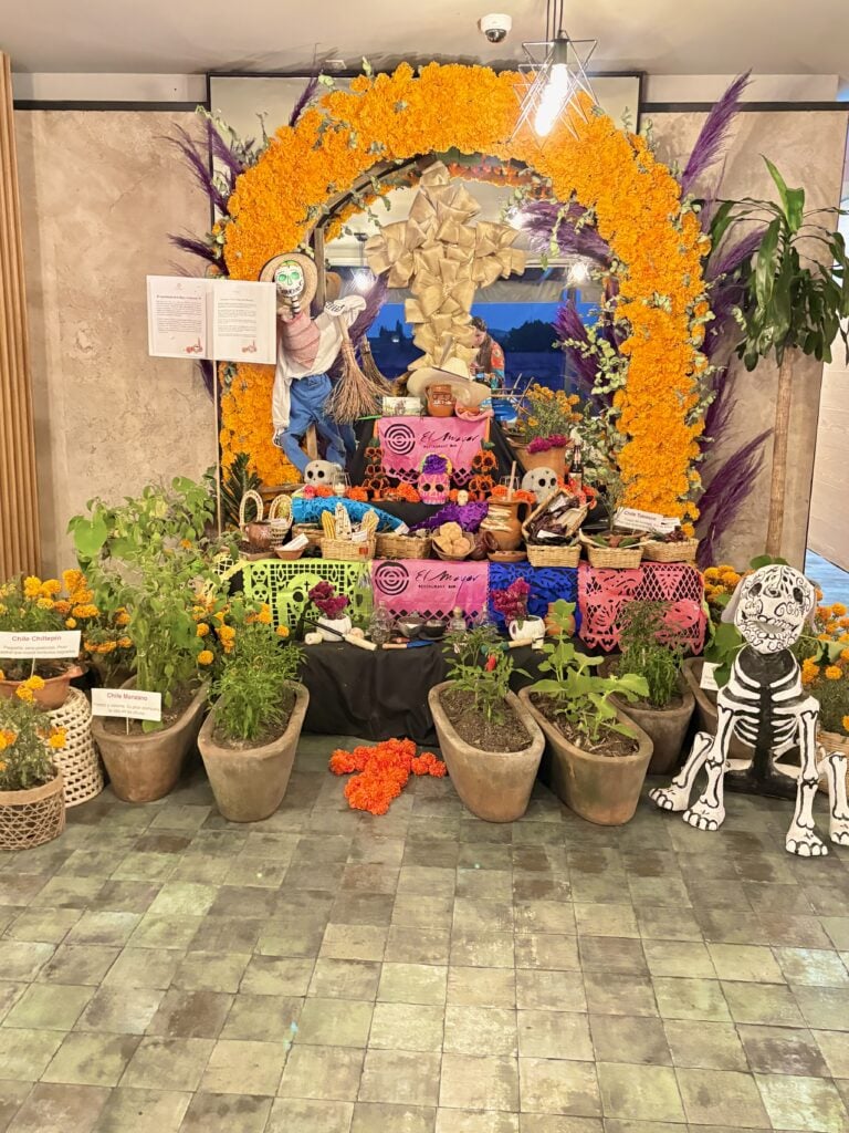 Altar de muertos Altar ideas Altares de muertos creativos Altar en casa Altar inspiration Day of the Dead Day of the Dead altar Day of the Dead decorations Day of the dead decor Dia de los muertos Dia de muertos Dia de muertos mexico Dia de muertos altar ideas Dia de los muertos ofrenda Dia de muertos decoracion Dia de los muertos altar
