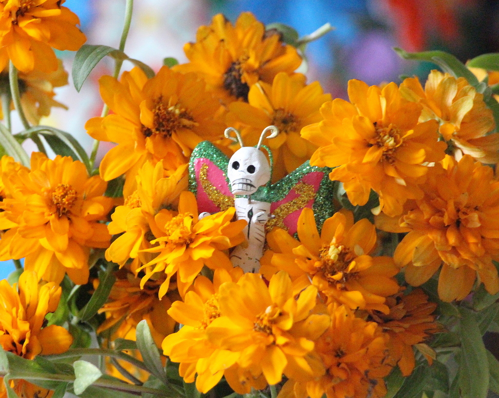 Day of the Dead marigolds | Cempazúchitl para el Día de los Muertos