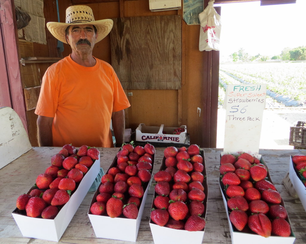 Chino Strawberries