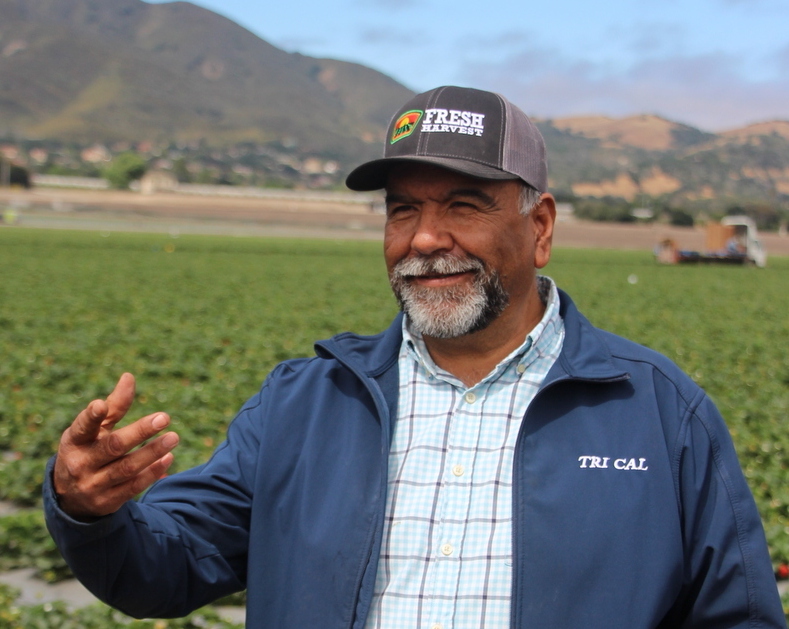 Jesús Alvarado, Fresalva Berry, LLC #CAStrawberries