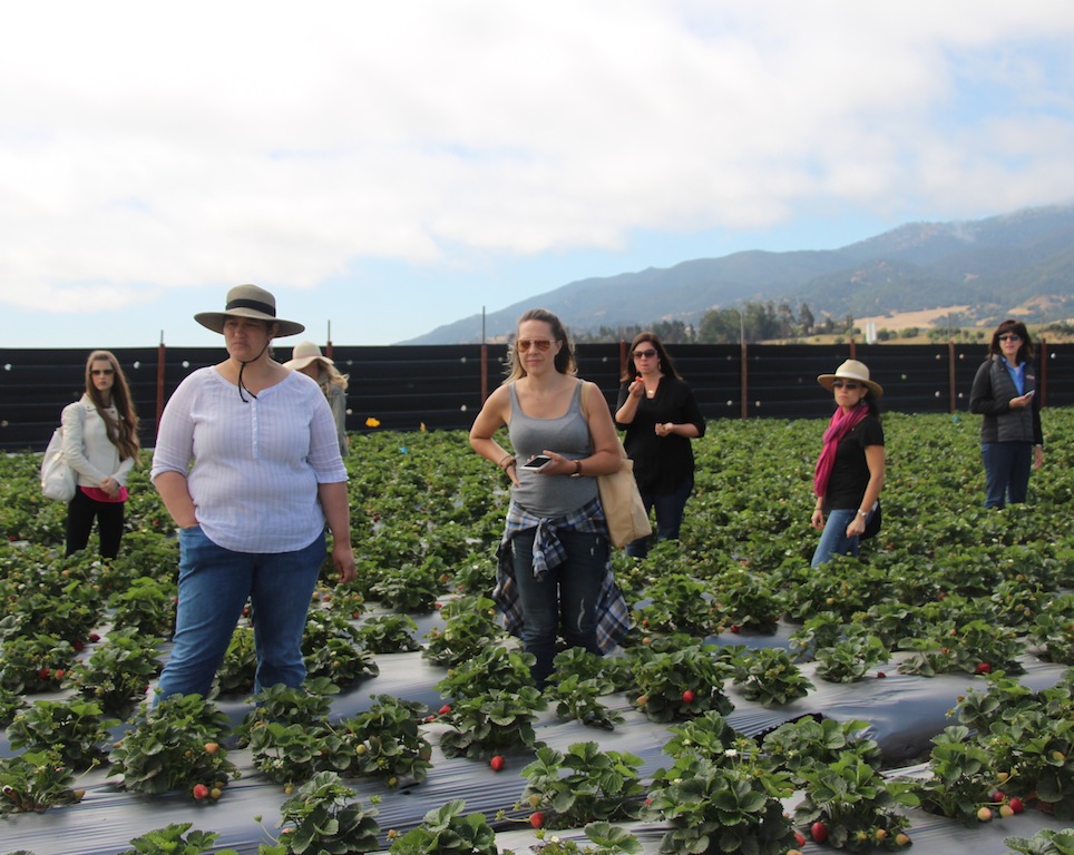 Taking it all in and learning about strawberries from Jesús