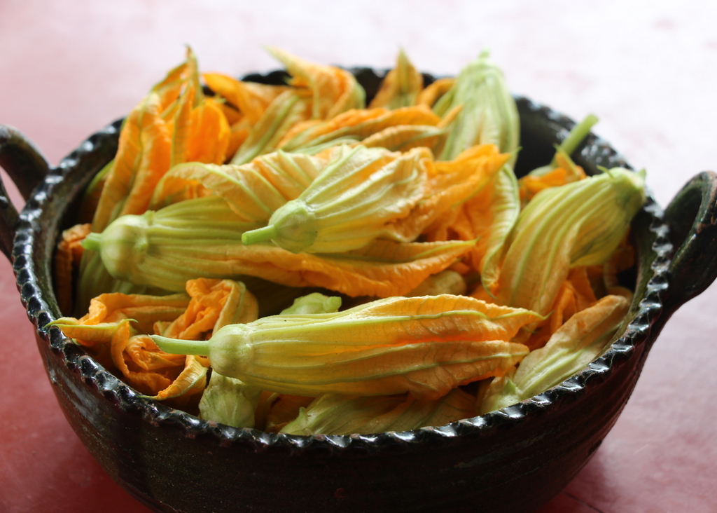 Stuffed Squash Blossoms | Lola's Cocina | www.lolascocina.com