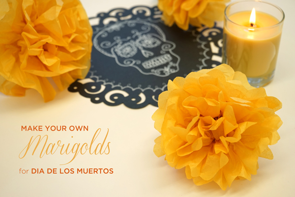 make-your-own-marigolds