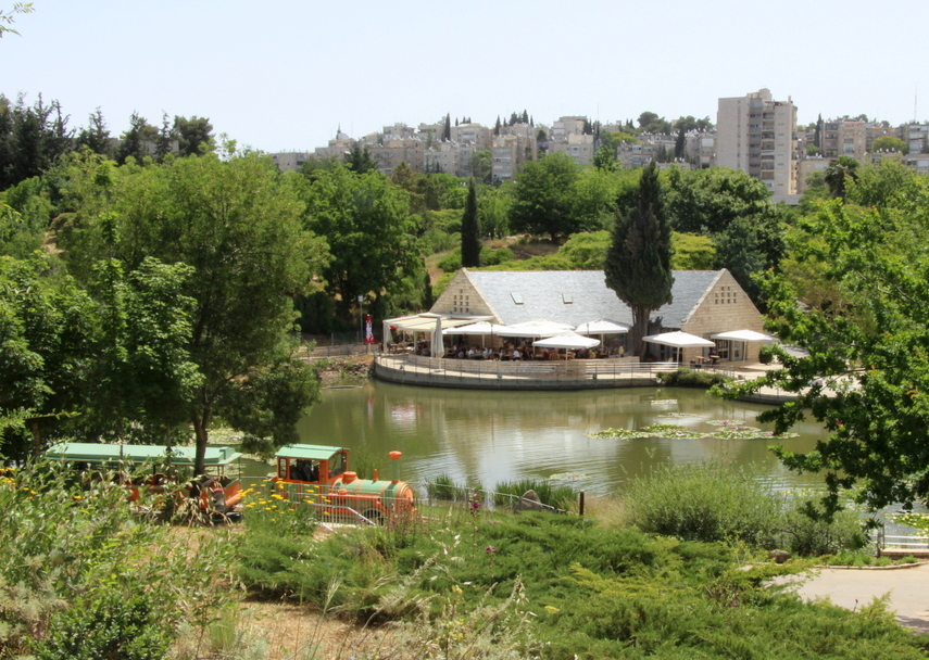 Caffit, Jerusalem Botanical Gardens