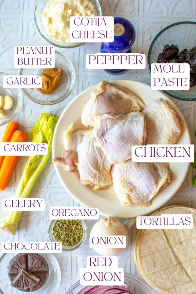 asy Enmoladas de Pollo (Mole Enchiladas)