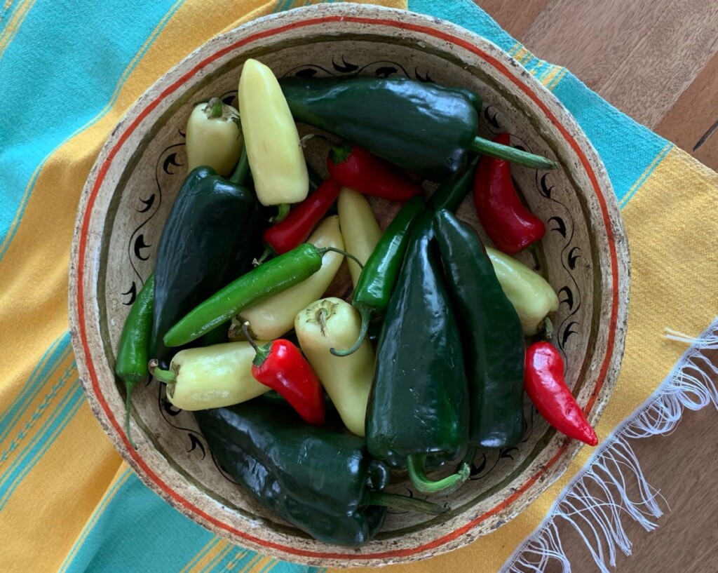 Mexican blistered peppers
