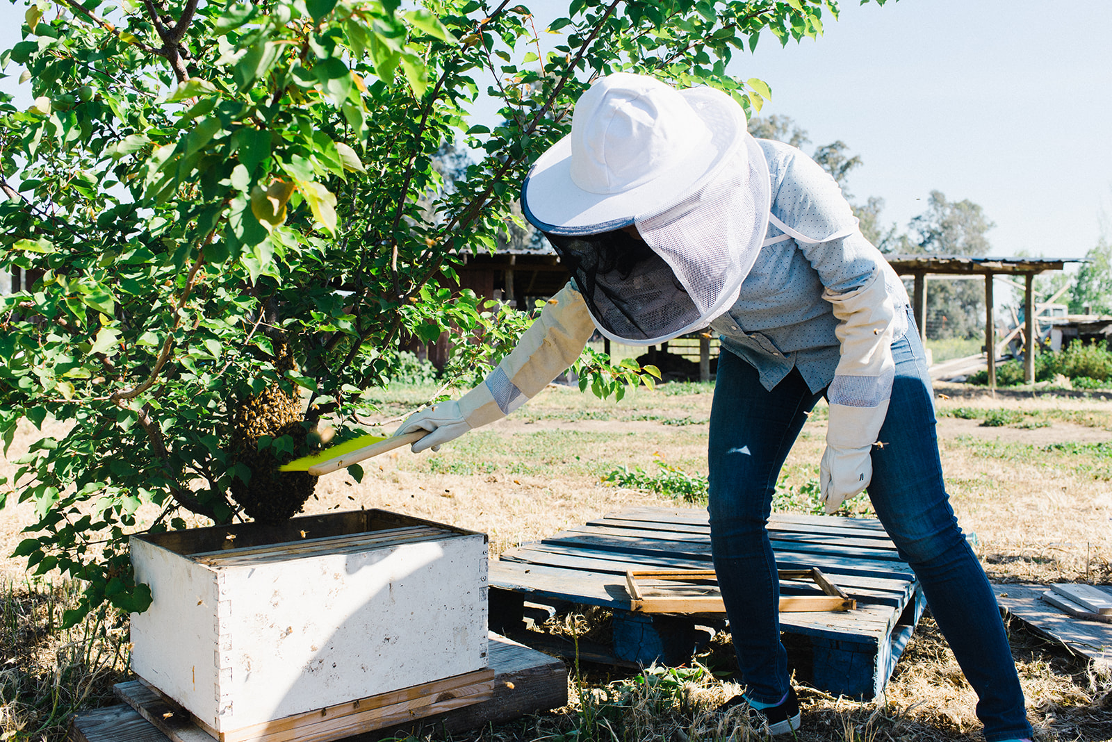 {COMADRES CORNER} Interview with Jessica Gonzalez, Millennial Beekeeper and Founder of Happy Organics
