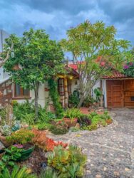 Where to stay in oaxaca Mexico Where to stay in oaxaca Where to stay in oaxaca city Where to stay oaxaca Mexico Oaxaca where to stay