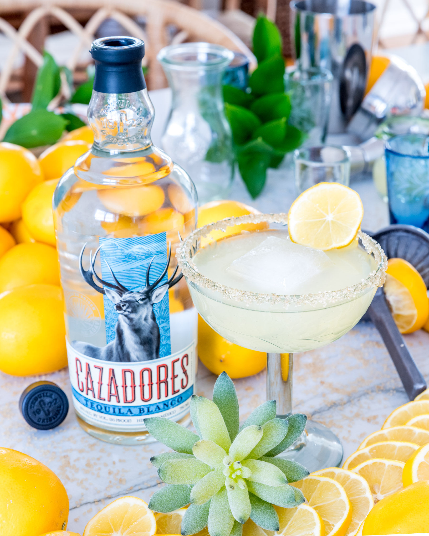 https://lolascocina.com/wp-content/uploads/2020/02/01-lemon-drop-margarita-nationalmargaritaday-lolascocina.com_.jpg