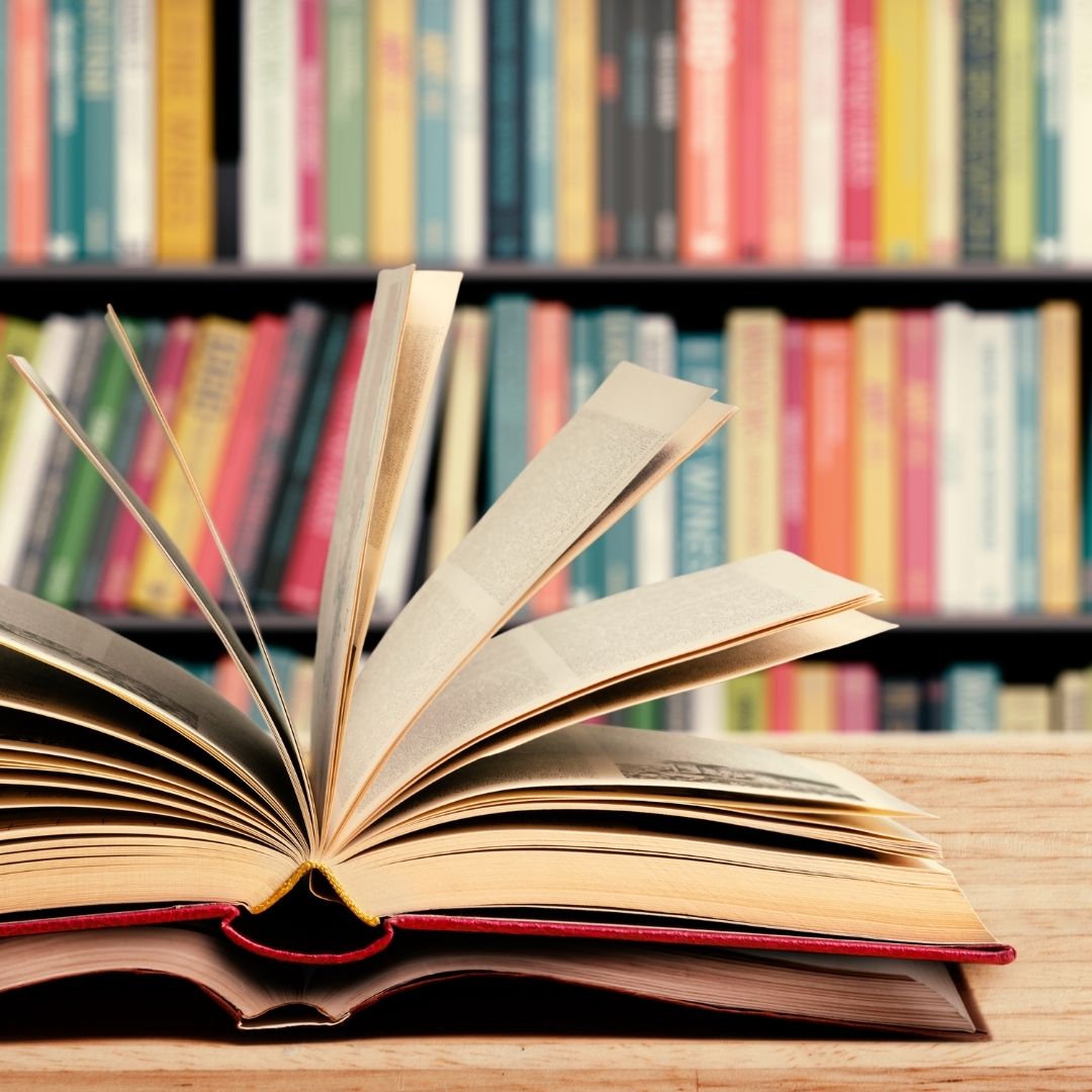 Lola’s Bilingual Book Club: The 12 Books I Read in 2020