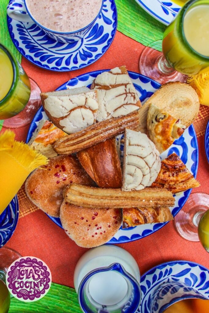 Where to stay in oaxaca Mexico Where to stay in oaxaca Where to stay in oaxaca city Where to stay oaxaca Mexico Oaxaca where to stay