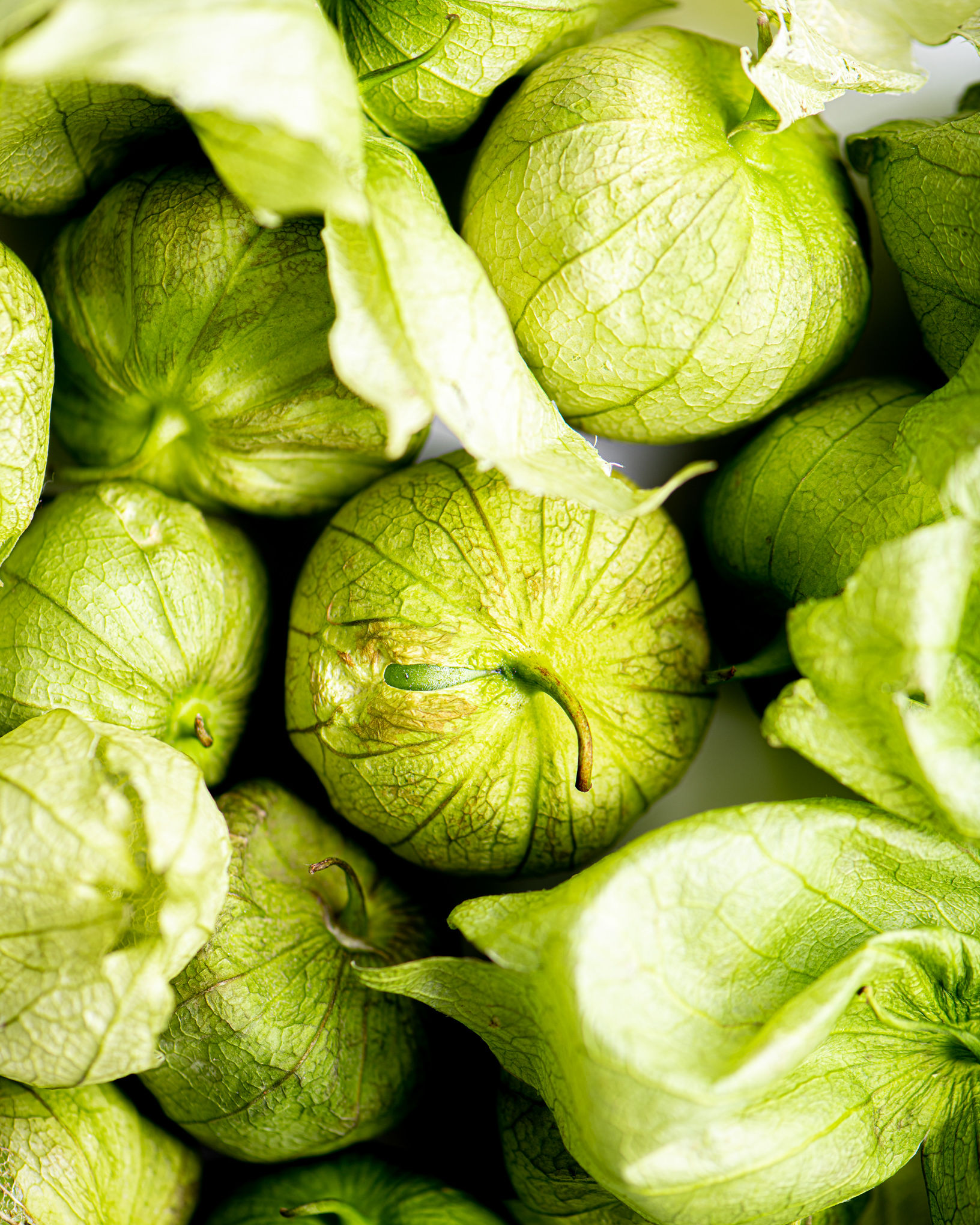When To Harvest Tomatillos