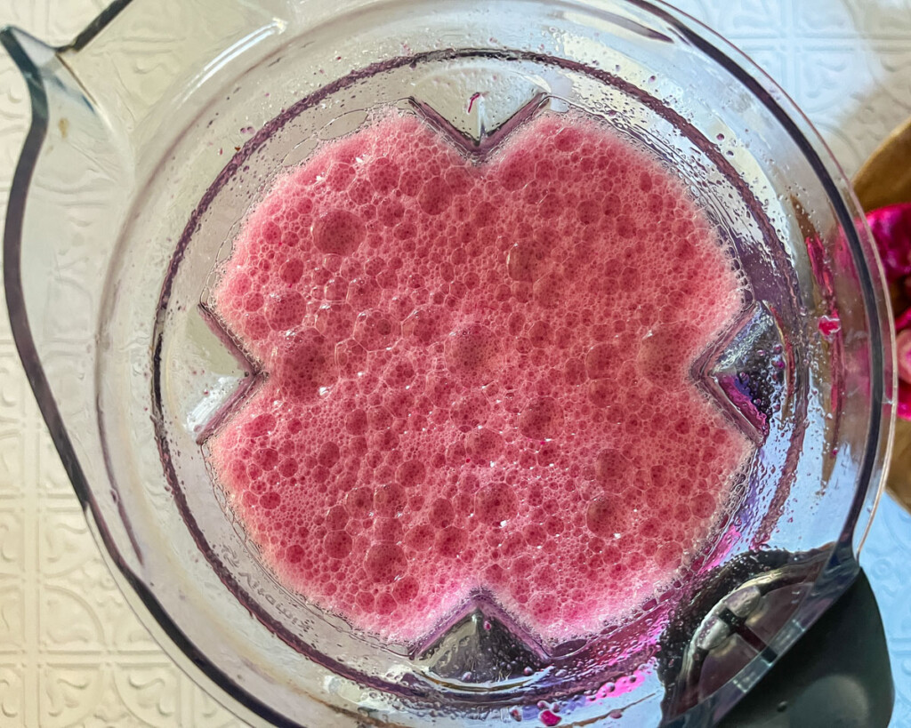 prickly pear recipes