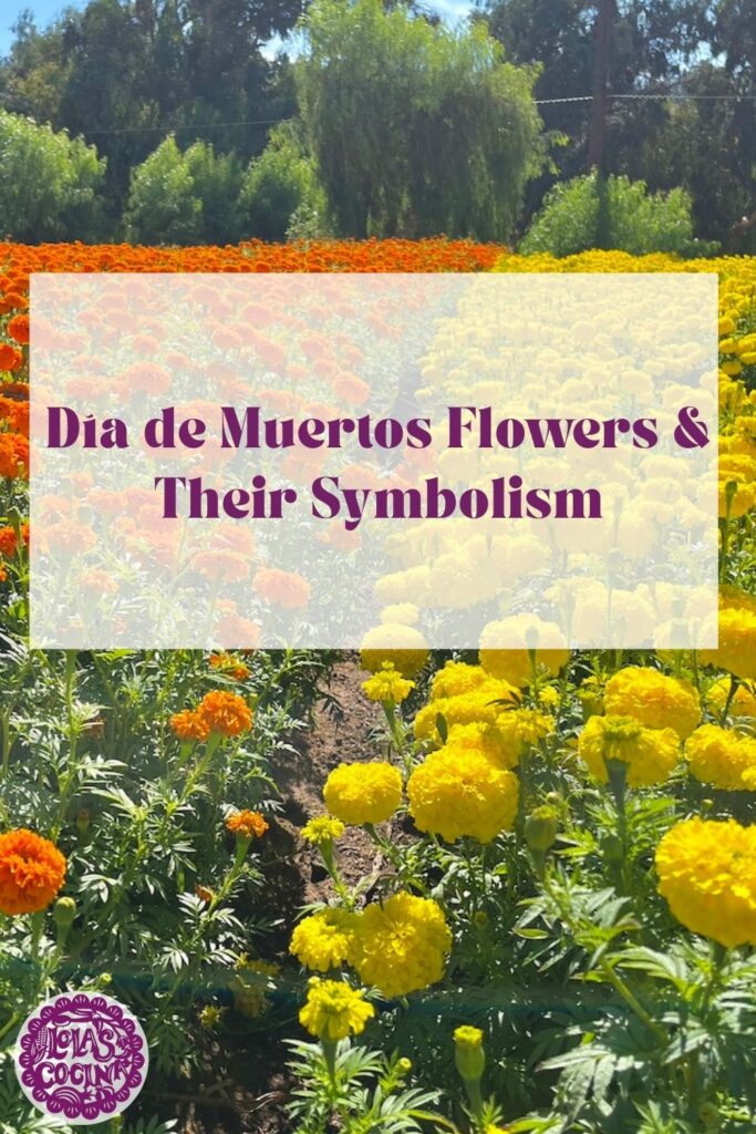 Flowers for dia de los muertos Flowers for Day of the Dead Day of the dead flowers Day of the dead flowers bouquet Dia de Muertos flowers Dia de muertos altar ideas