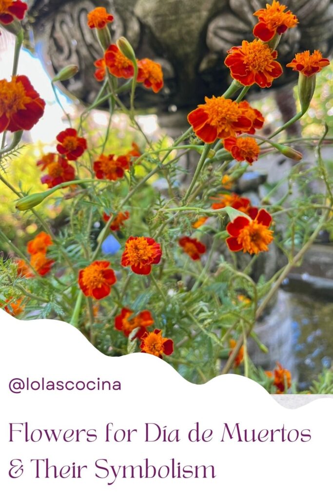 Flowers for dia de los muertos Flowers for Day of the Dead Day of the dead flowers Day of the dead flowers bouquet Dia de Muertos flowers Dia de muertos altar ideas