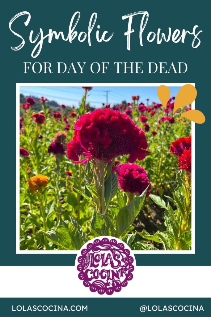 Flowers for dia de los muertos Flowers for Day of the Dead Day of the dead flowers Day of the dead flowers bouquet Dia de Muertos flowers Dia de muertos altar ideas