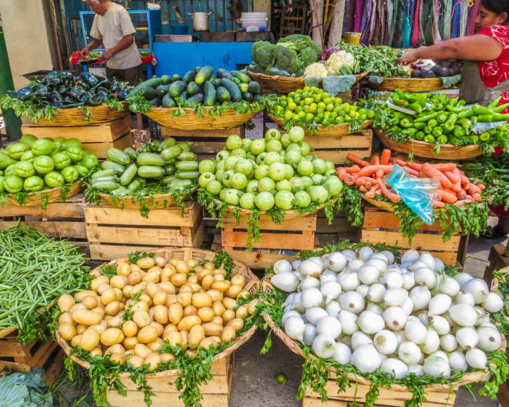 Cooking classes in Oaxaca Oaxaca cooking Oaxaca cooking classes best cooking classes in Oaxaca authentic cooking classes Oaxaca Oaxaca culinary experiences