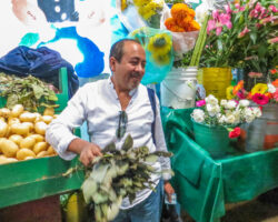 Cooking classes in Oaxaca Oaxaca cooking Oaxaca cooking classes best cooking classes in Oaxaca authentic cooking classes Oaxaca Oaxaca culinary experiences