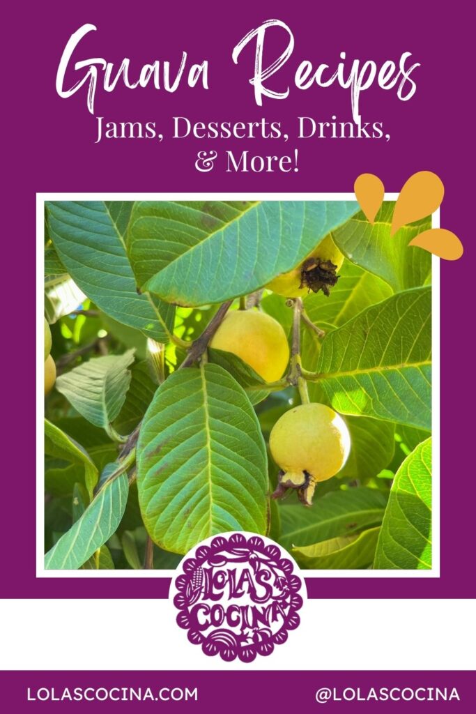Guava recipes Guava jam recipe Guava desserts Guava cocktail Guava fruit Guayaba recipes Guayaba recetas Guayaba desserts